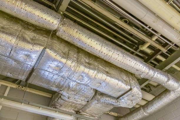 Air Duct Mold Removal in Canton, TX